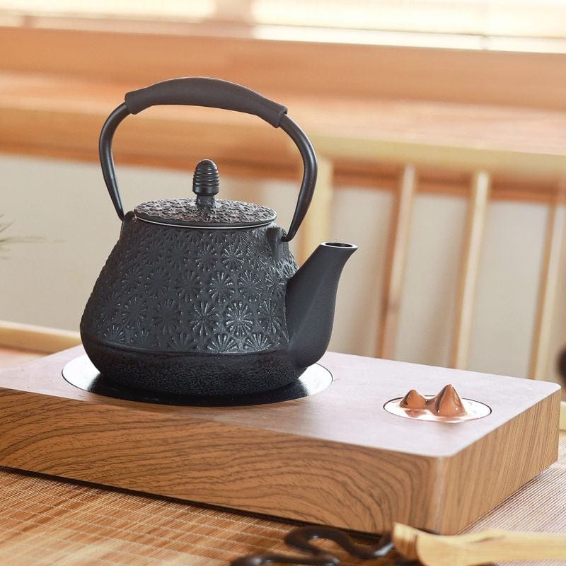 Théière en Fonte avec Filtre 950ML