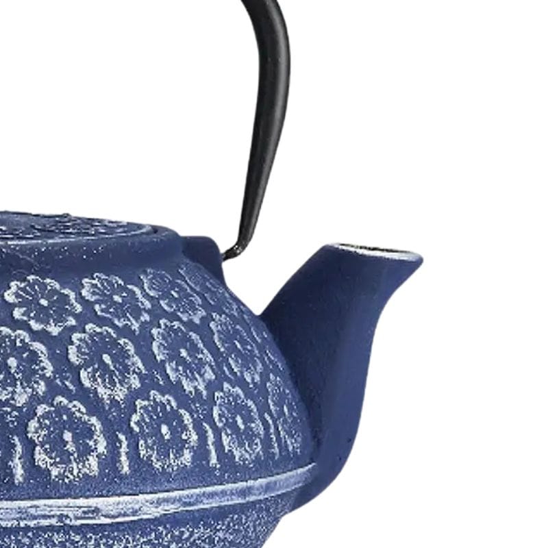 Théière en Fonte Bleue 900ML 900 ml