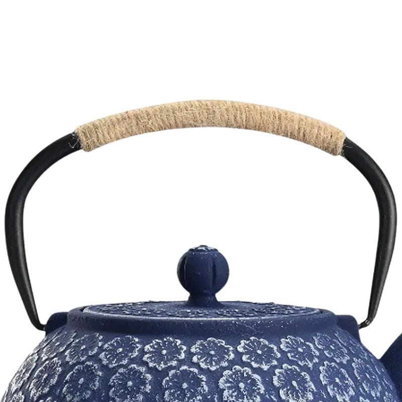 Théière en Fonte Bleue 900ML 900 ml