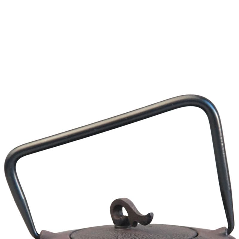 Théière en Fonte Tetsubin 450ML 450 ml