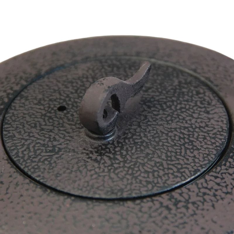 Théière en Fonte Tetsubin 450ML 450 ml