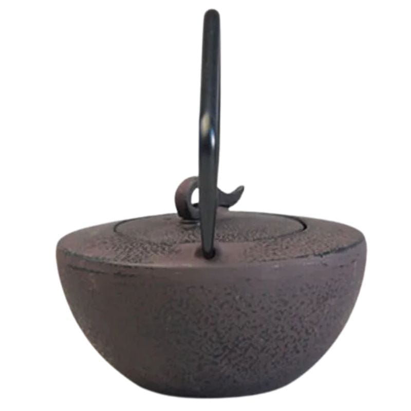 Théière en Fonte Tetsubin 450ML 450 ml