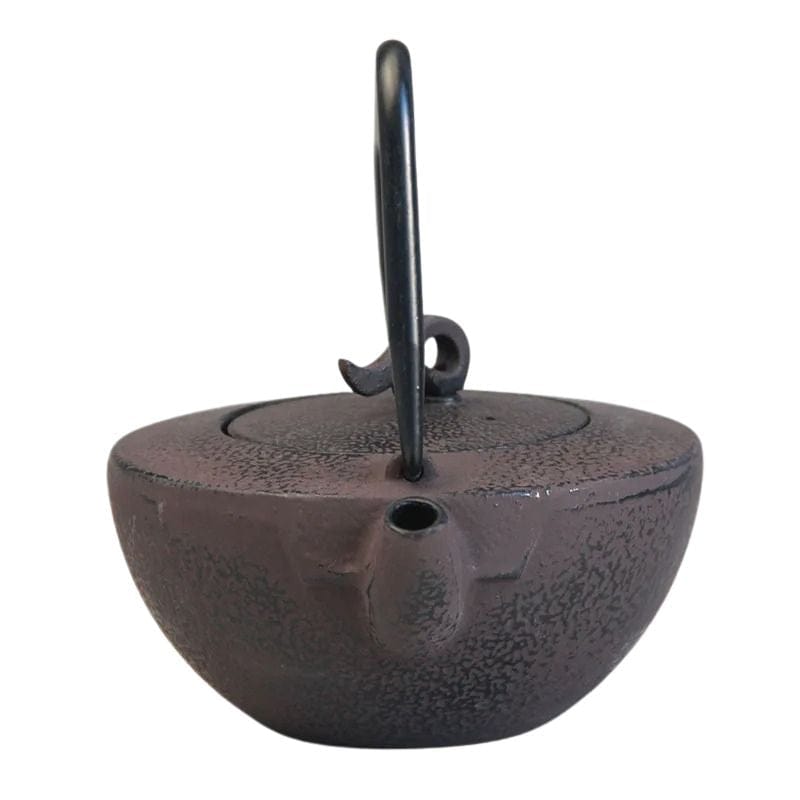 Théière en Fonte Tetsubin 450ML 450 ml