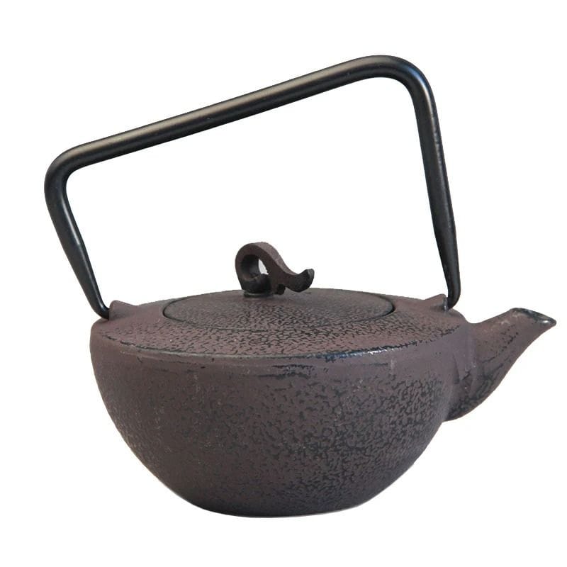 Théière en Fonte Tetsubin 450ML 450 ml
