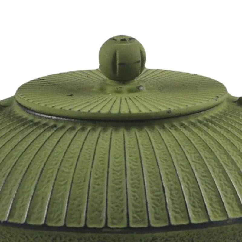 Théière en Fonte Verte 800ML 800 ml