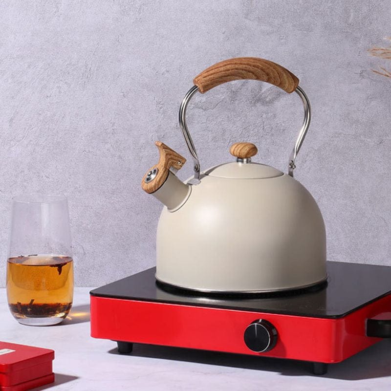 Théière Grande Capacité 2.5L 2500 ml