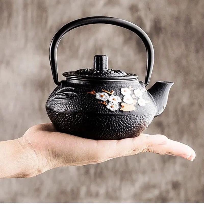 Théière Iwachu en Fonte 300ML - 800ML