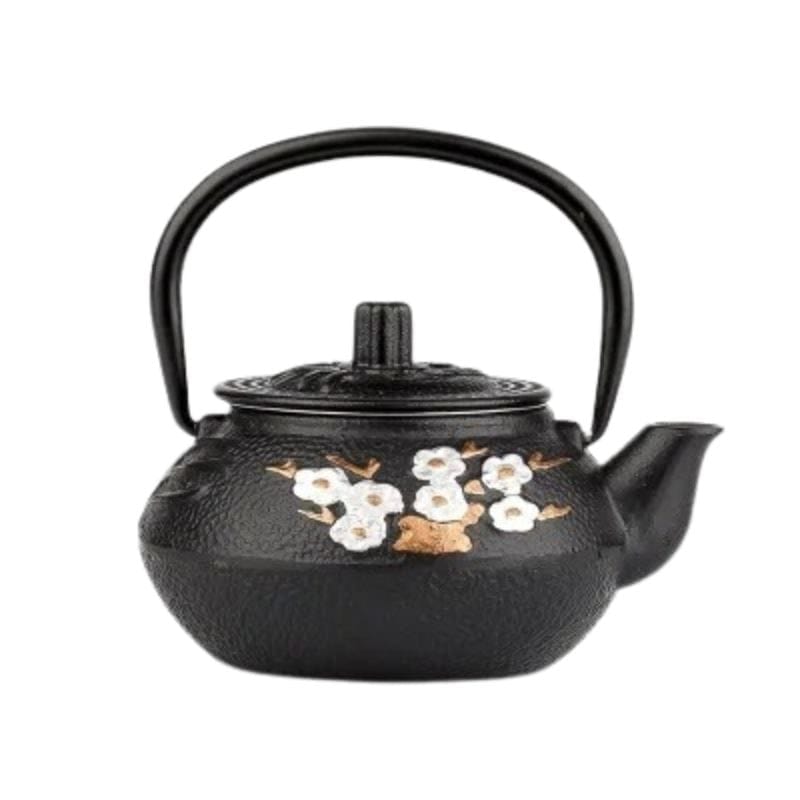 Théière Iwachu en Fonte 300ML - 800ML 300 ml