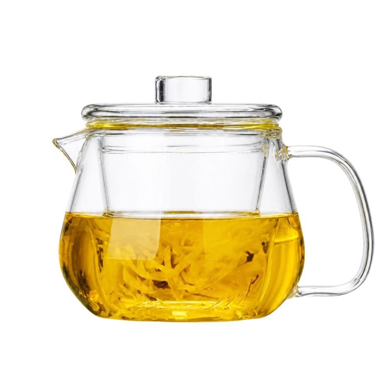 Théière pour une Personne en Verre 480ML - 600ML 480ml