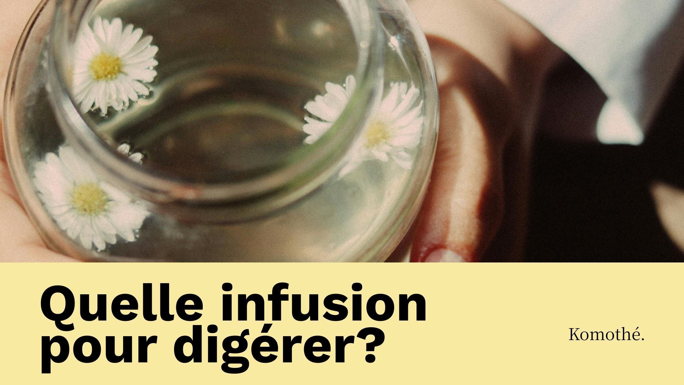 quelle infusion pour la digestion