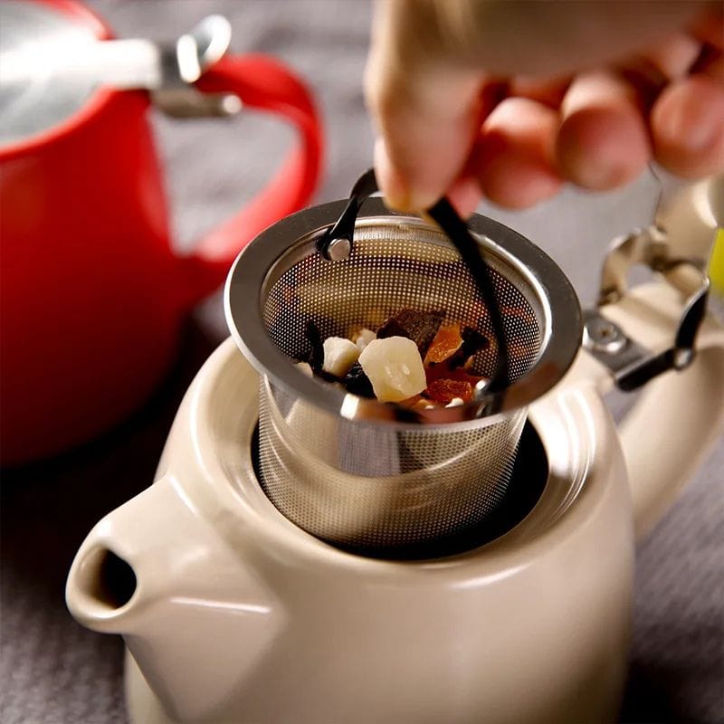 Théière 500ML avec Infuseur