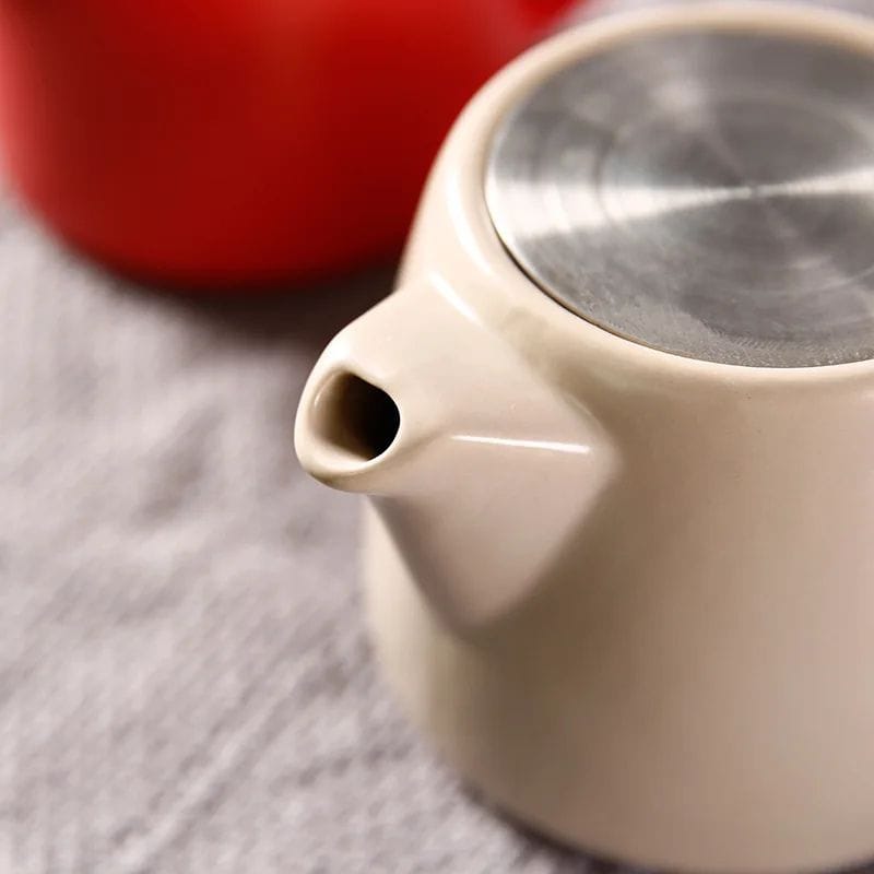 Théière 500ML avec Infuseur
