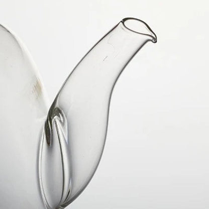 Théière Asiatique en Verre Borosilicate 1L 1000 ml