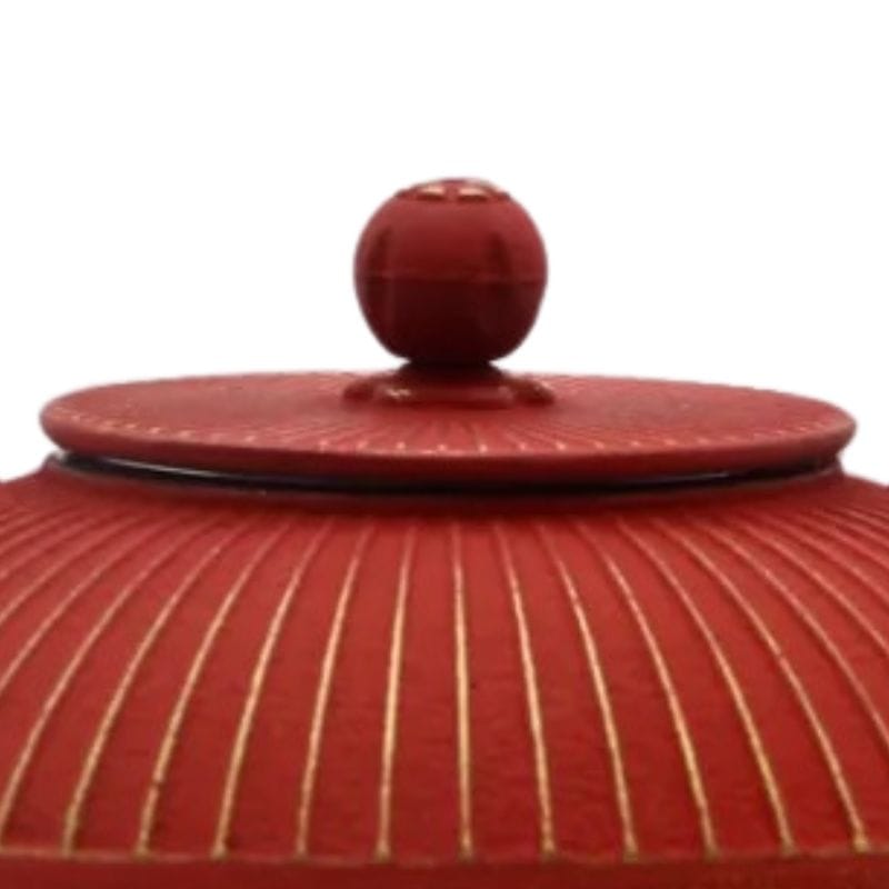 Théière en Fonte Rouge 800ML 800 ml