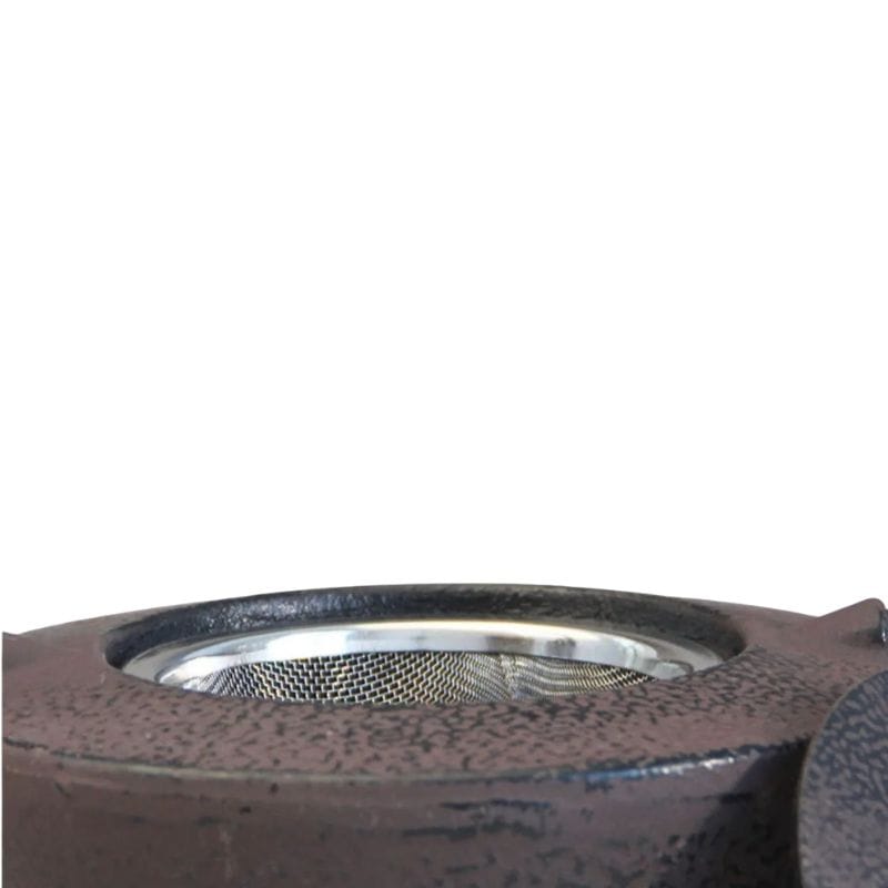 Théière en Fonte Tetsubin 450ML 450 ml