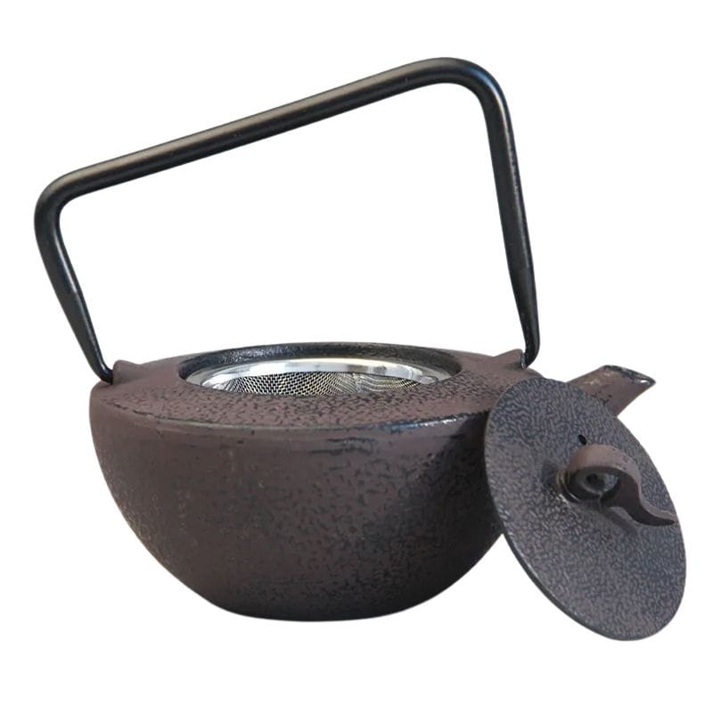Théière en Fonte Tetsubin 450ML 450 ml