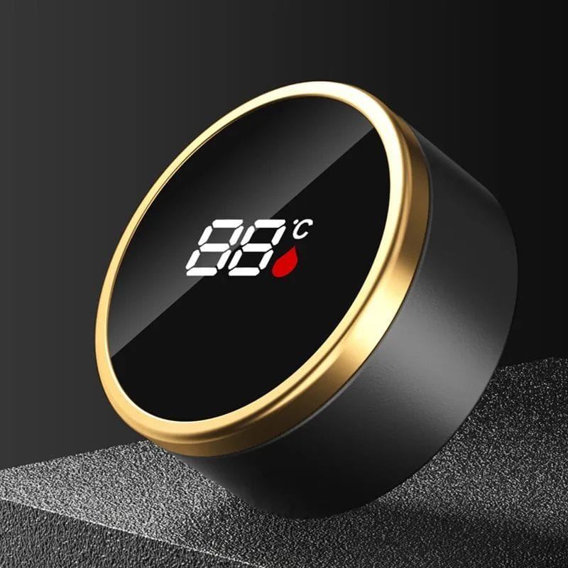 Théière Isotherme avec Température 450ML