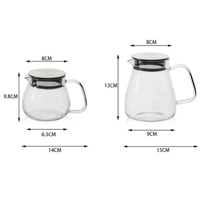Théière pour Thé Glacé en Verre avec Filtre 500ML - 800ML