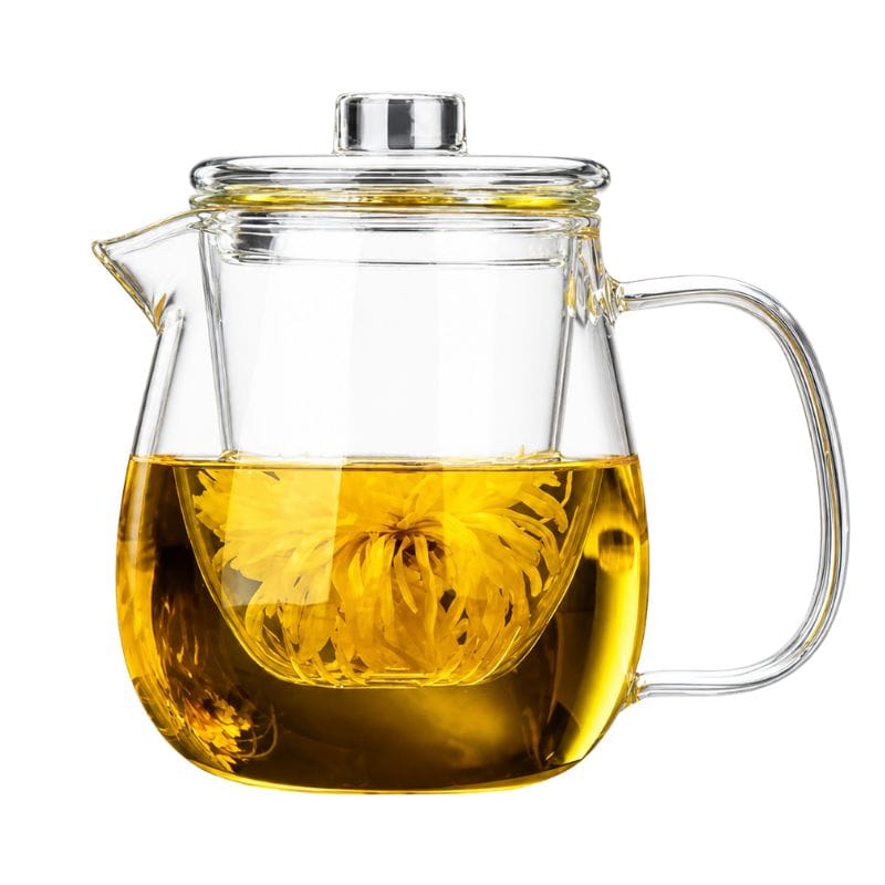 Théière pour une Personne en Verre 480ML - 600ML 600ml