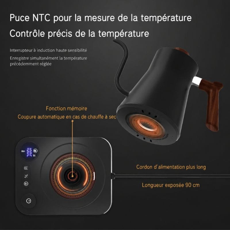 Théière Température Réglable 900ML